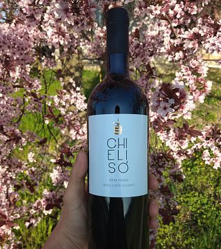 Chielisò Winery