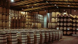 Production of young wines + Sherry Casks and Sherry vinegars + Museum + Tasting