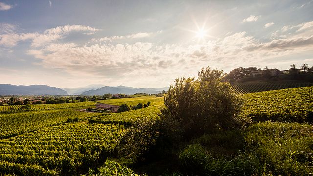 Ronco Calino Winery