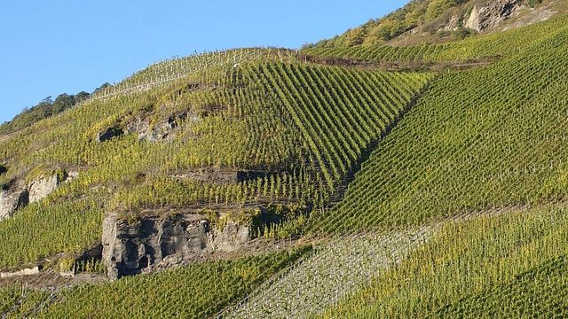 Heinrichshof Winery