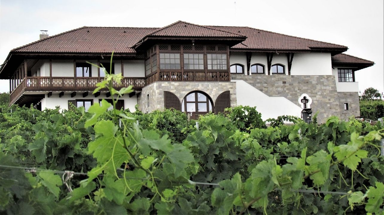 Davino Winery
