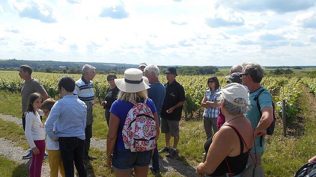 Cata de vinos y visita guiada en Domaine Sauvète