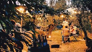 From Sunset to the Glass - Dinners in the Vineyard & Evenings Among the Vines