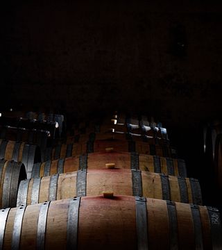 Degustazione di vini privati e tour allo Château Capion