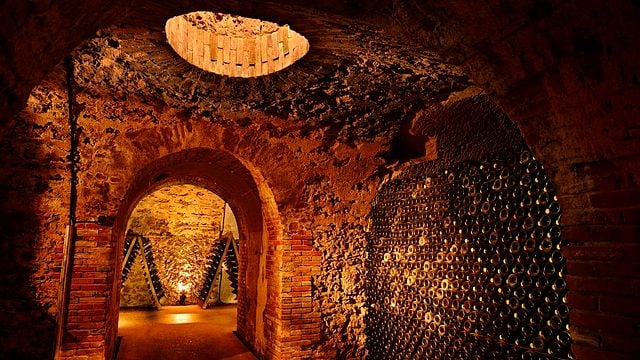 Cellar visit and tasting Joyau