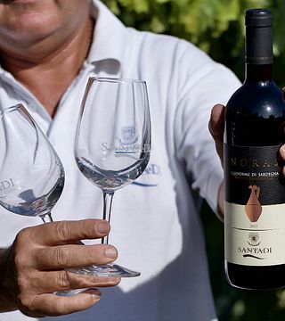 Cantina Santadi: A Sardinian Wine Experience