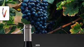 Ventisquero Premium-Verkostung und Tour