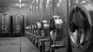 Dégustation et visite de vins au domaine Wimberger