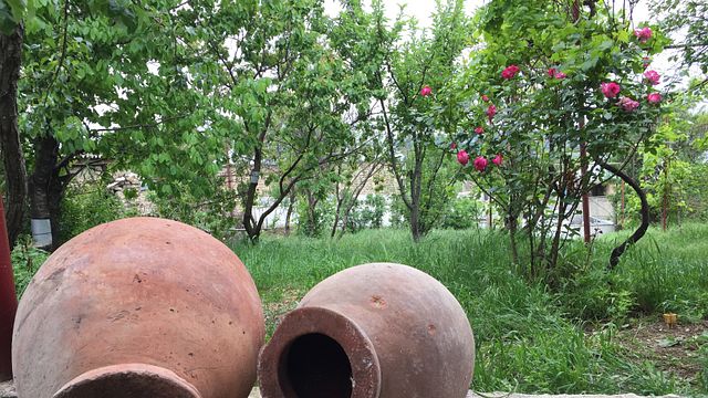 Tbilisi Wine & Cheese: Georgian Flavors Unveiled