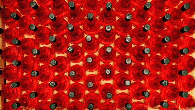 Degustazione di vini e tour a Valle Dos Tres Irmaos