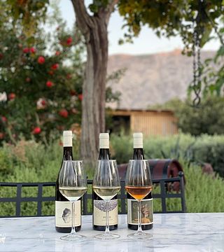 Das Assyrtiko Lovers Weinprobe- und Speisenpaarungserlebnis im Weingut Artemis Karamolegos