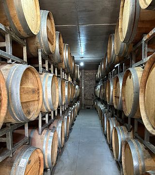 Cata de vinos y visita guiada en Carinae