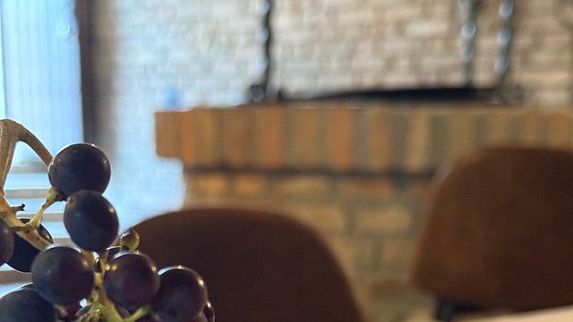 Cata de vinos auténtica en bodega familiar