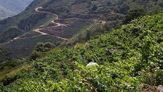 Val Da Lenda Winery