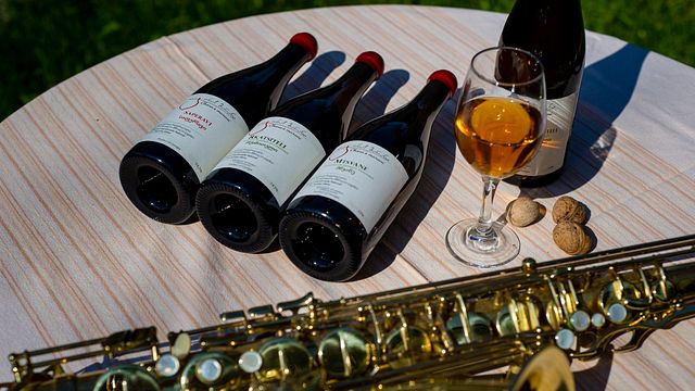 Weinprobe und Tour bei Chona's Marani