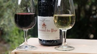 Cata de vinos premium en Domaine Saint Laurent