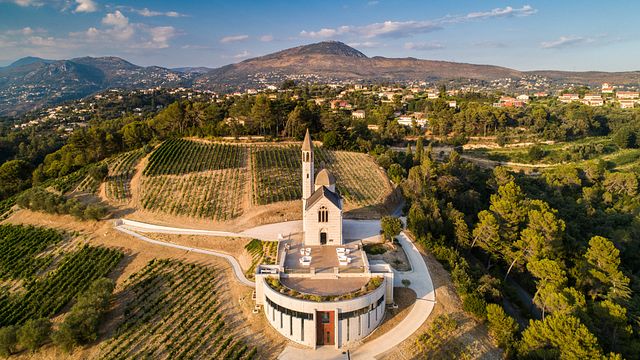 La dégustation du vin « Bellet »