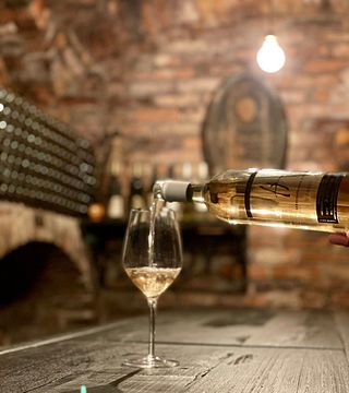 Degustação de vinhos na Herberstein Cellar