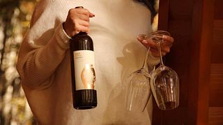Dégustation de vins et visite de la cave à vin de Shiukashvili