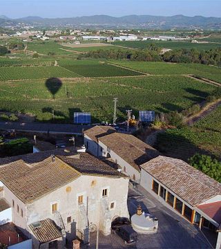Catalan Vineyard Feast & Suriol Wine Pairing