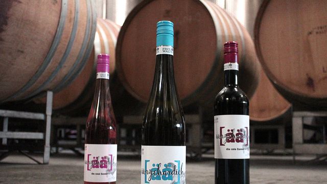 Cata de vinos y visita guiada en Weingut Fritz Walter