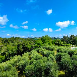 VILLAS Y APARTAMENTOS EN BADIA DI MORRONA - TOSCANA