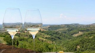Primorska Wine & Culinary Delight at Vinoteka Brda