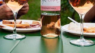 Besuch im Weinkeller und Verkostung unserer Weine | Azienda Agricola Innocenzo Turco