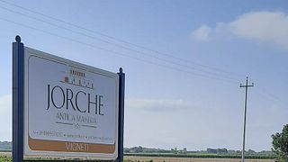 Scopri Jorche