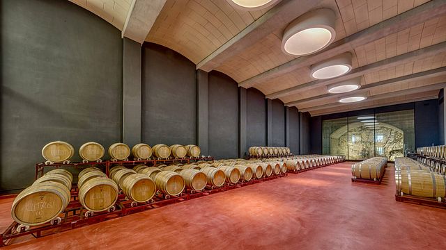 Dégustation de vins et visite à Can Axartell