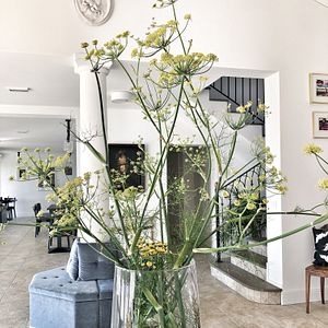 Villa di lusso ad uso esclusivo - Peterc Vineyard Estate