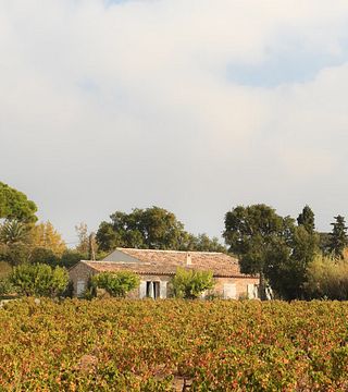 Cata de vinos y visita guiada a La Ferme des Lices