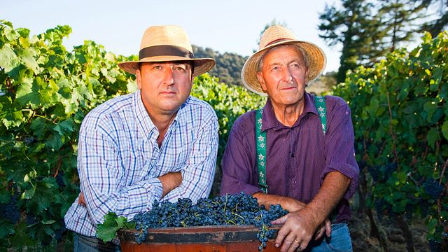 Andalusia's Finest: F. Schatz Wine & Vineyard Journey