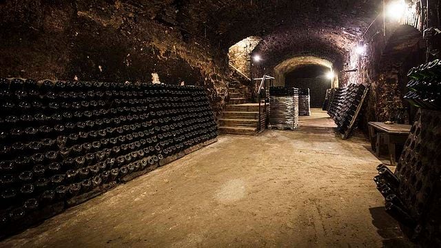 Dégustation de vins et visite à Fermí Bohigas