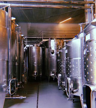 Cata de vinos y visita guiada en Cobue