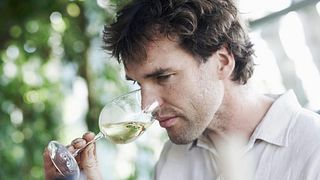 Weingut Axel Schmitt - Organic Wines
