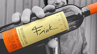 Vinprovning och rundtur på Fink & Kotzian Weinbau Og