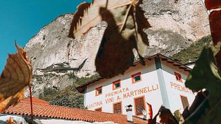 Weinprobe und Tour im Weingut Cantina A. Martinelli 1860