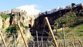 Visite des vins de Ronda