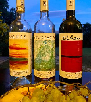 Tenuta Muscazega: A Historic Winery in Gallura