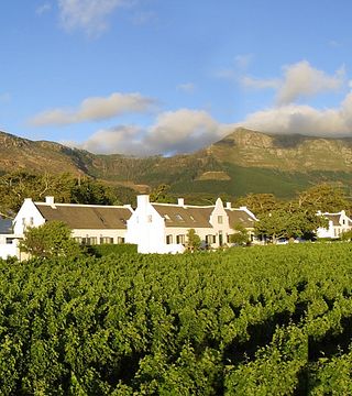 Cape Town Wine Tours