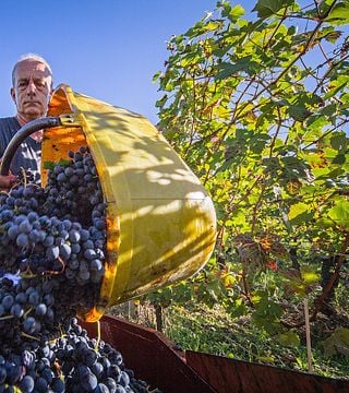 Cantina Di Nizza