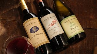 Klassisk vinprovning och rundtur på Terre Del Marchesato - Bolgheri