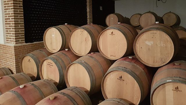 Degustação de vinhos e tour na Bodega Ecológica Luis Saavedra