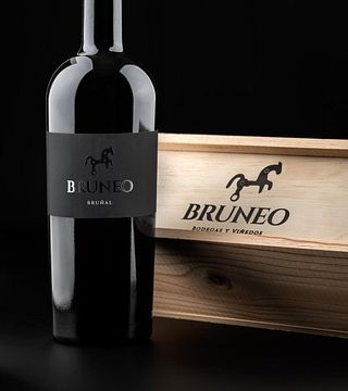 Cata de 3 Vinos con Visita Guiada | Bodegas y Viñedos Bruneo