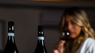 Degustación Privada | Cata de vinos en la bodega Pietro Cassina