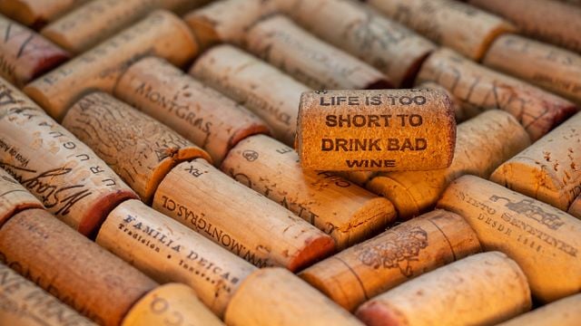 Descubra os fantásticos vinhos do Piemonte no coração de Turim na Cultura Liquida