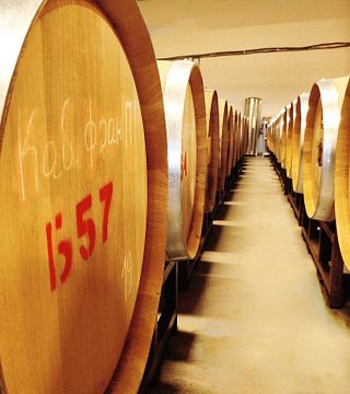 Cata de vinos y visita guiada a la Bodega Seven Generations