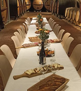 Degustazione di vini e tour allo Château des Ravatys