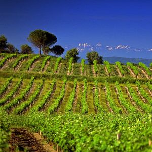 Hotel Soggiorno con vista dalla terrazza del Domaine la Bastide Rougepeyre